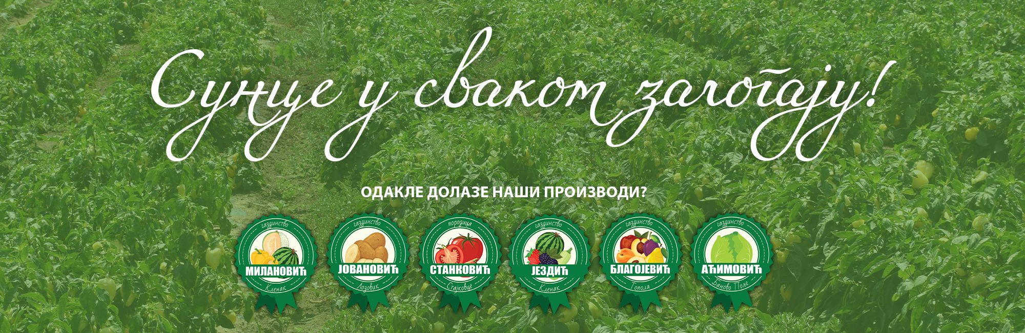 Сунце у сваком залогају